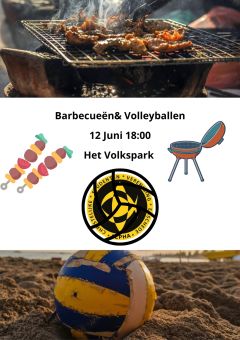 barbecueën en volleyballen met broeders